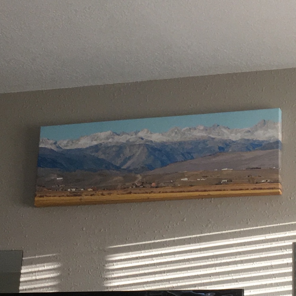 Meet your Posher, Ellie